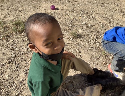 The importance of mental health in virtual education